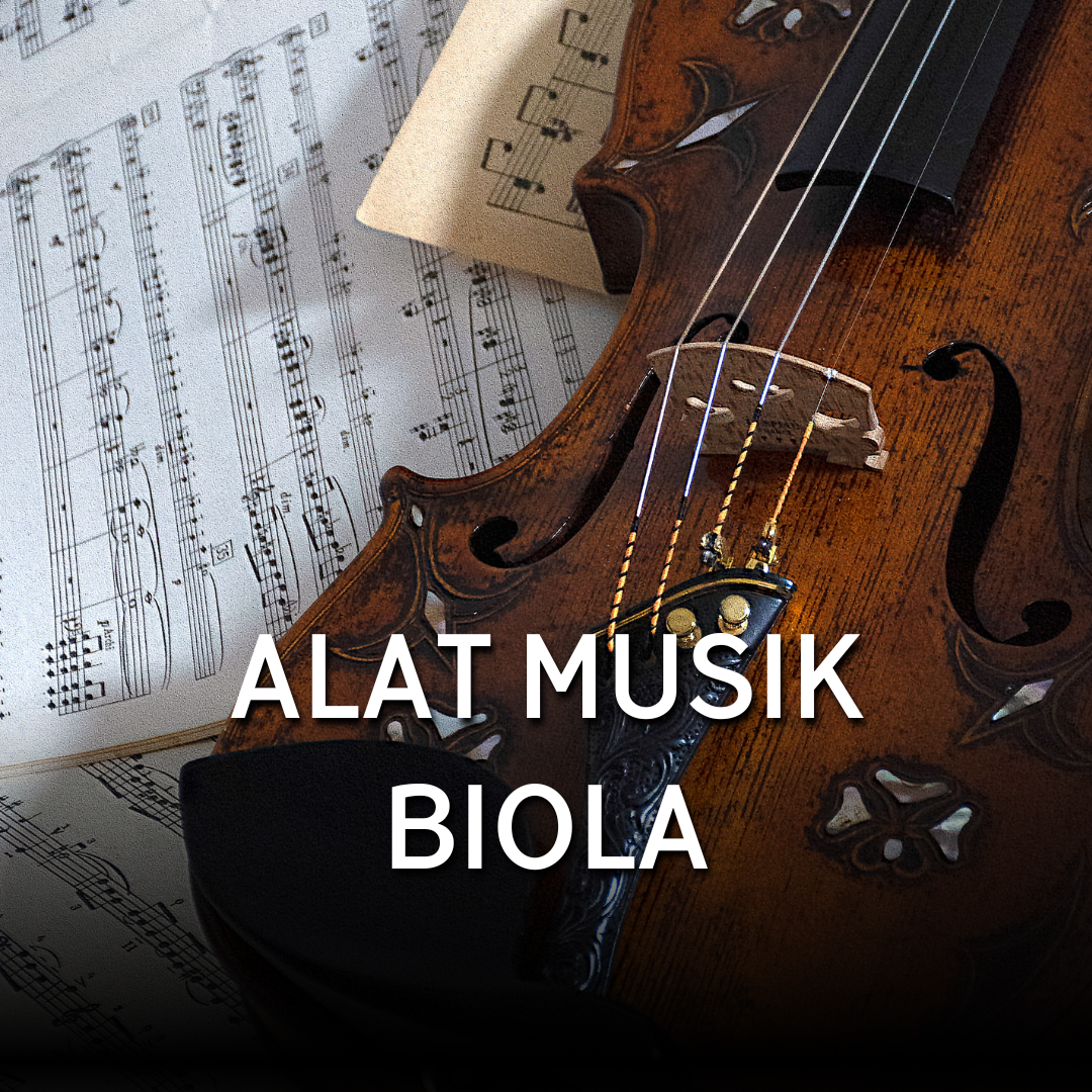 alat-musik-biola