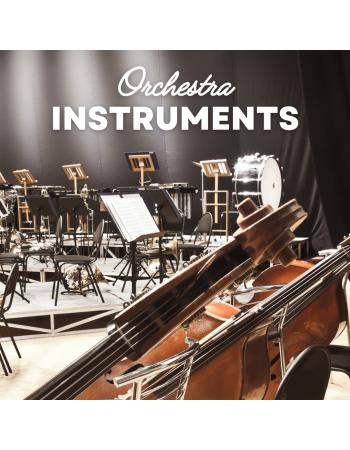 Mengenal Jenis Alat Musik Orkestra dan Jenisnya