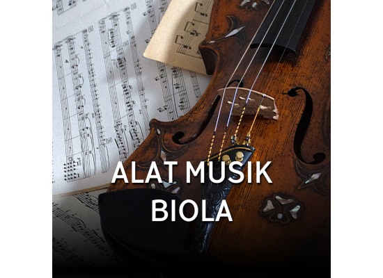 alat-musik-biola