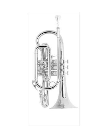 bach-professional-model-184sml-cornet