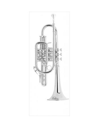 bach-professional-model-181sml-cornet