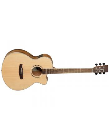 tanglewood-discovery-dbt-sfce-pw