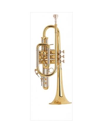 bach-professional-model-181ml-cornet