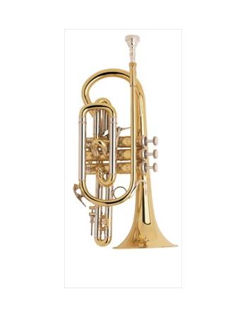 bach-professional-model-184ml-cornet