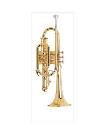 bach-student-model-cr301h-cornet