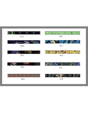 -olympia-sw-432-series-polyester-strap-2-wide-