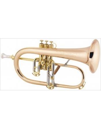 cg-conn-professional-model-1fr-flugelhorn-