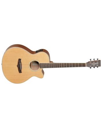 tanglewood-acoustic-electric-guitar-tw9-e