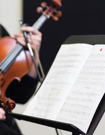 stands-and-accessories